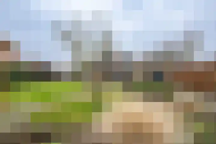 Korteweegje 38 Nieuwe-Tonge thumbnail 40