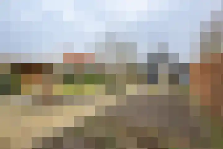 Korteweegje 38 Nieuwe-Tonge thumbnail 41