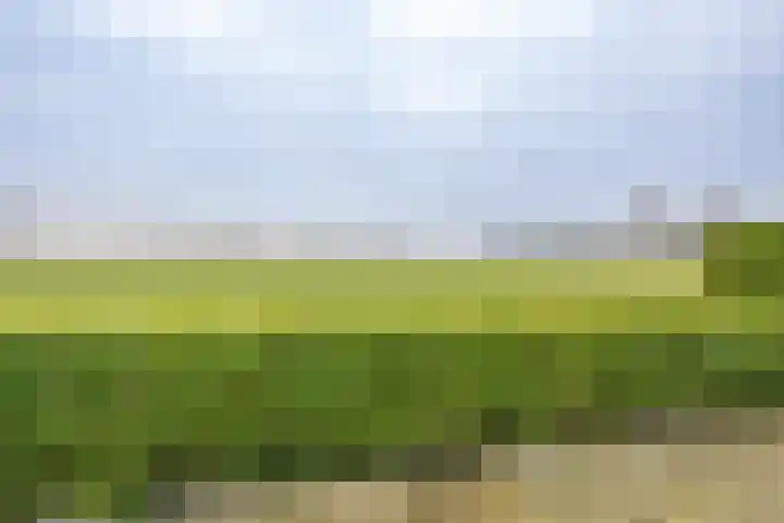 Korteweegje 38 Nieuwe-Tonge thumbnail 42