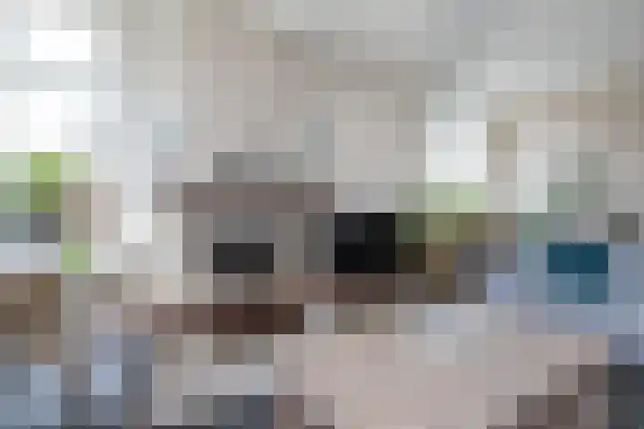 Korteweegje 38 Nieuwe-Tonge thumbnail 8