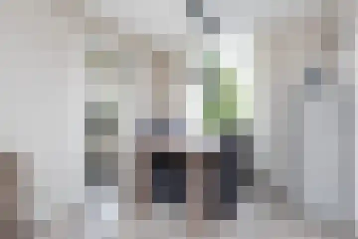 Korteweegje 38 Nieuwe-Tonge thumbnail 9