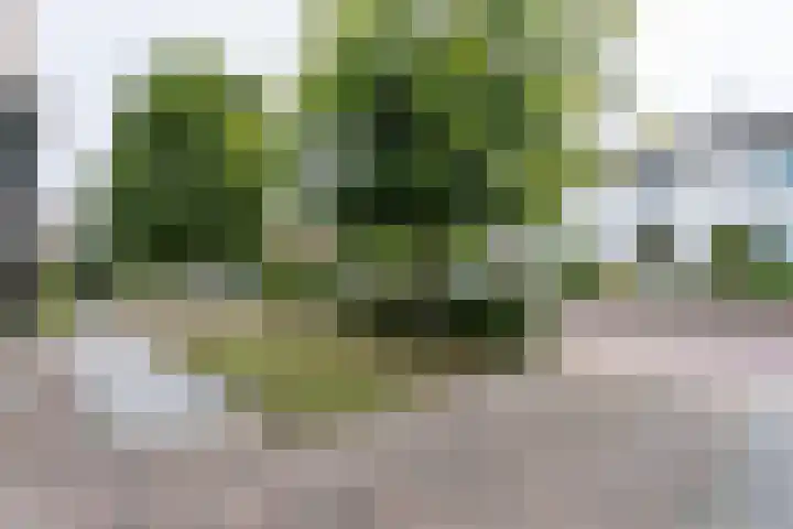 Korteweg 10 Hoensbroek thumbnail 31