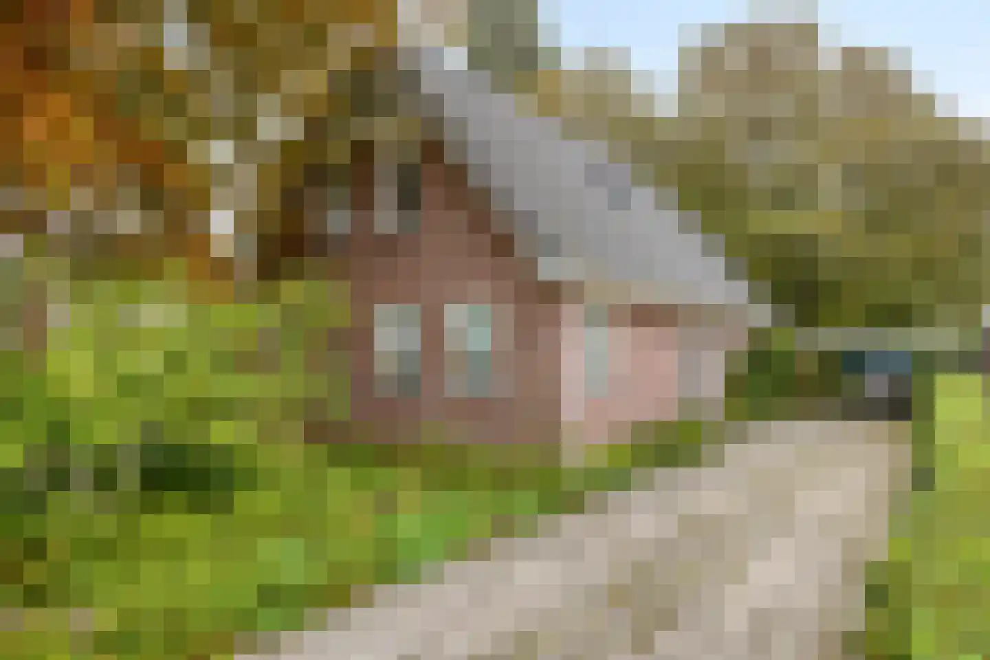 Korteweg 14 Hellevoetsluis