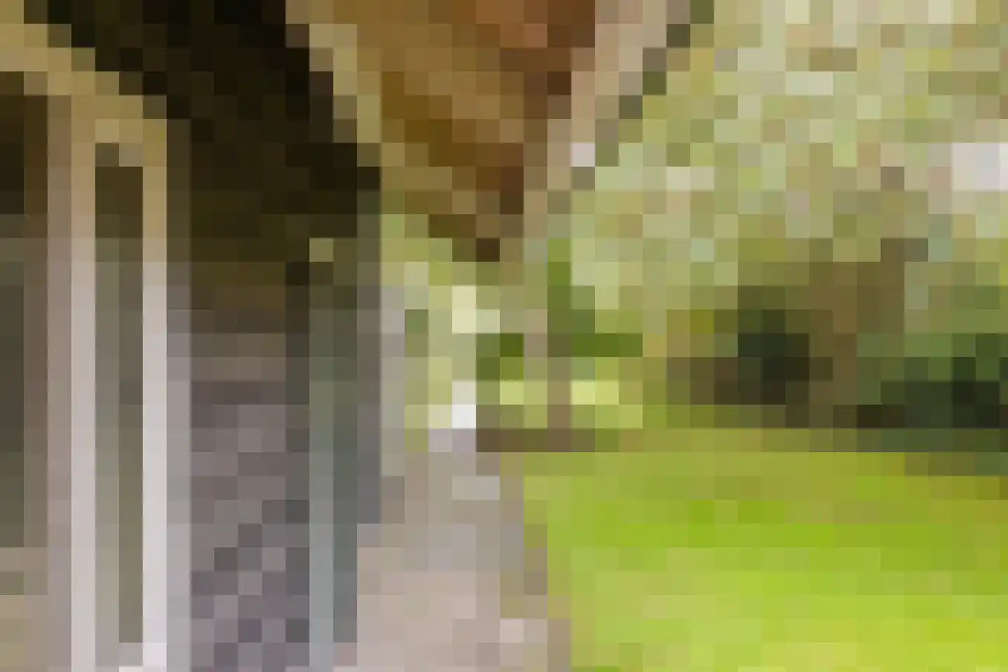 Korteweg 14 Hellevoetsluis thumbnail 31