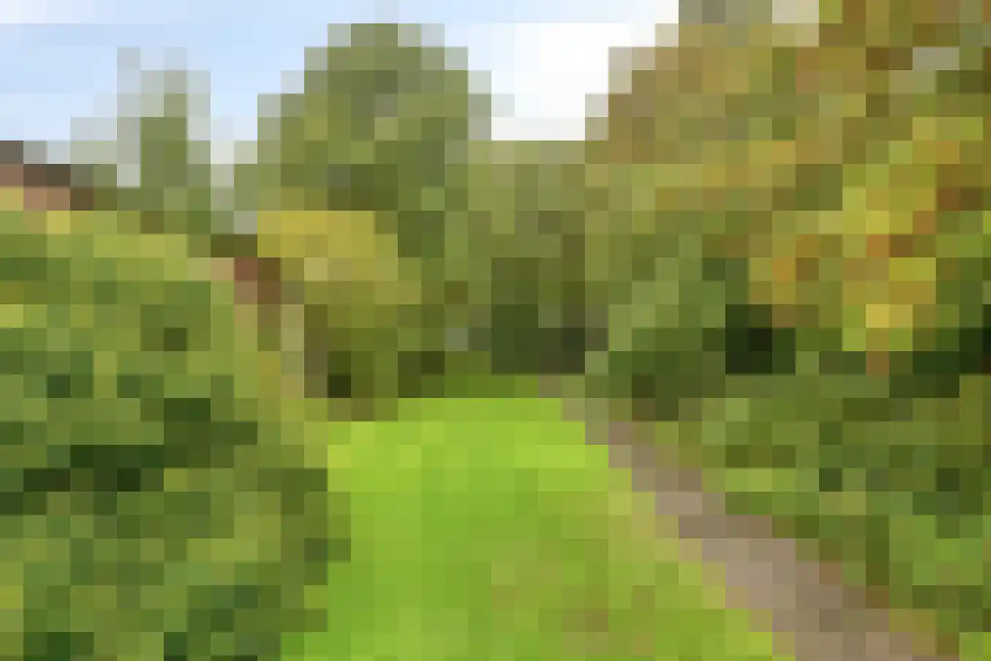 Korteweg 14 Hellevoetsluis thumbnail 33