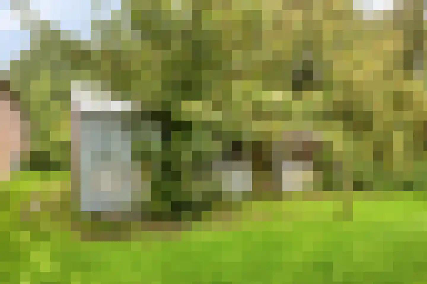 Korteweg 14 Hellevoetsluis thumbnail 34