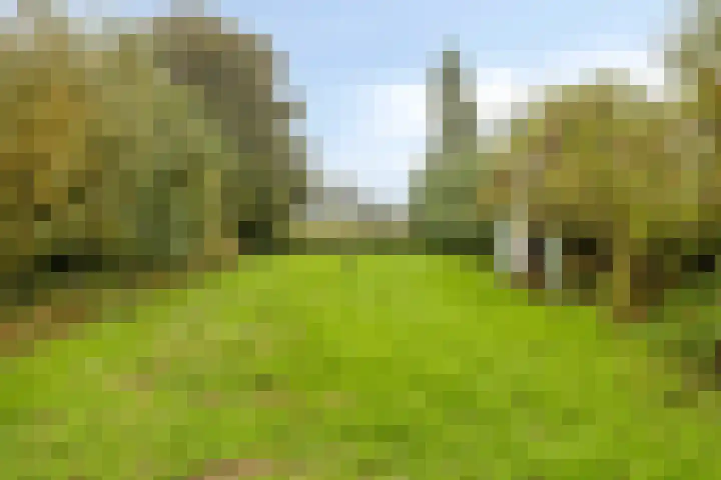 Korteweg 14 Hellevoetsluis thumbnail 5