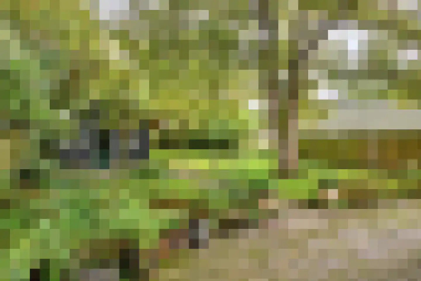 Korteweg 14 Hellevoetsluis thumbnail 6