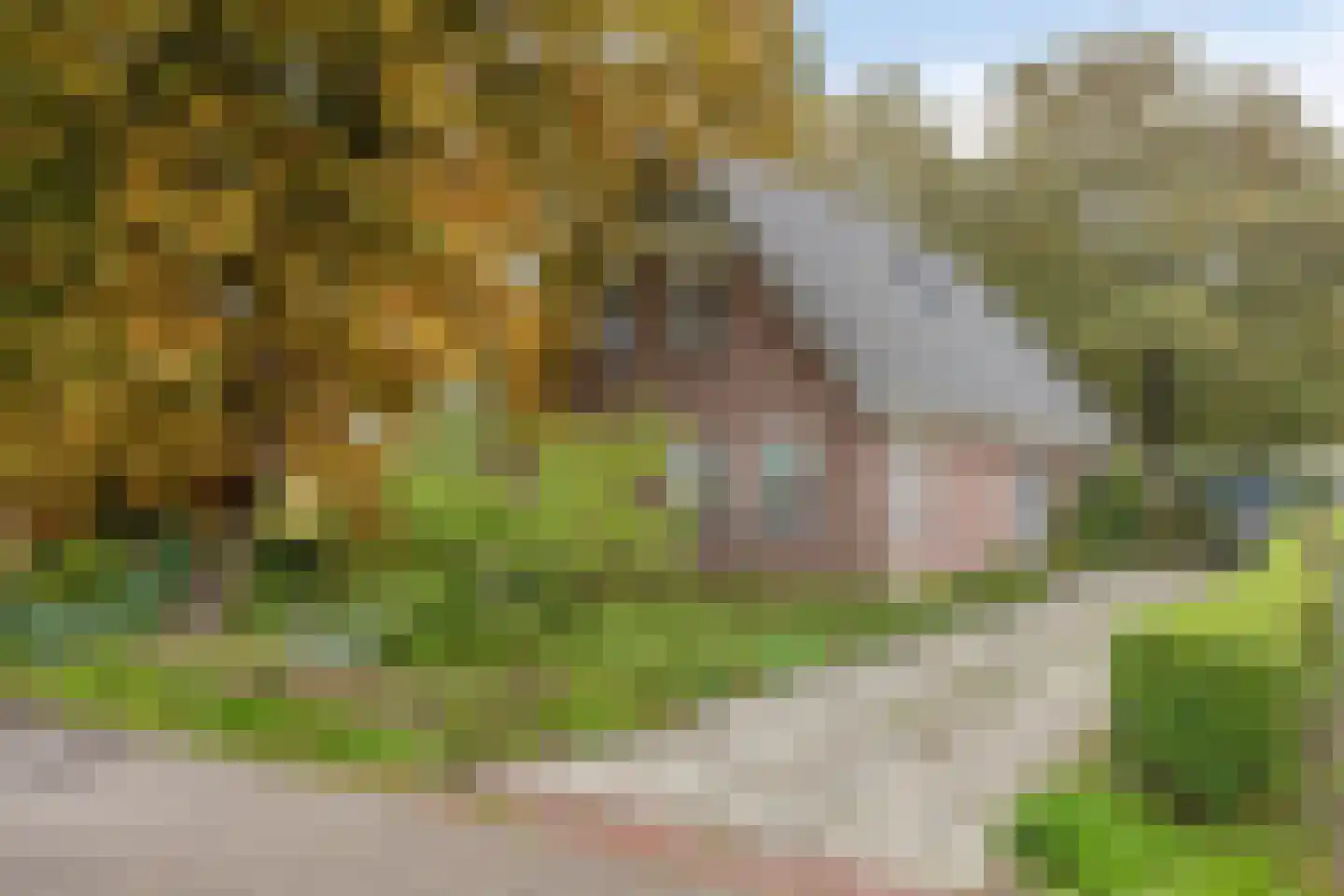 Korteweg 14 Hellevoetsluis thumbnail 7