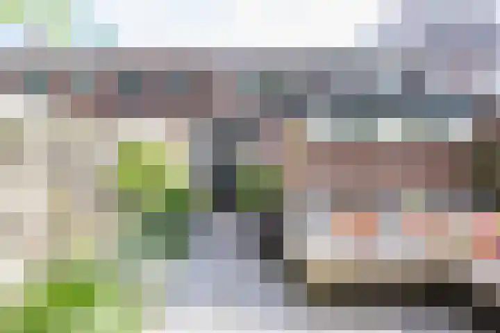 Korteweg 19 Haarlem thumbnail 21