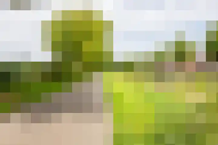 Korteweg 19 Haarlem thumbnail 33