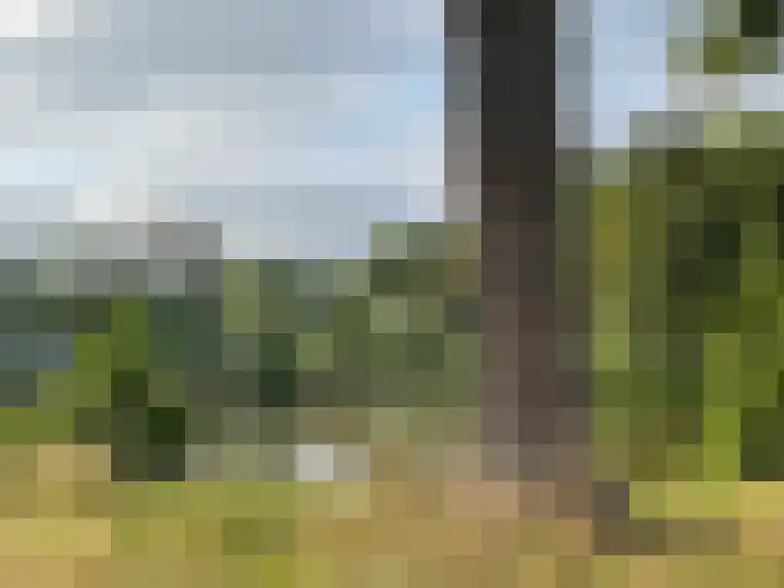 Korteweg 19 Haarlem thumbnail 39