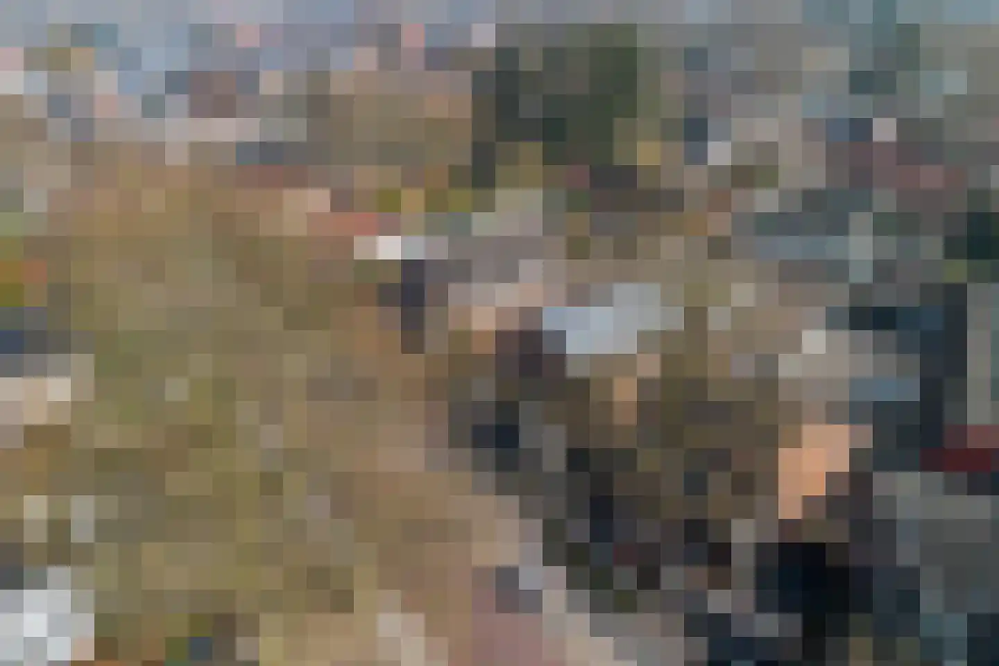 Korteweg 2 Nunspeet thumbnail 44