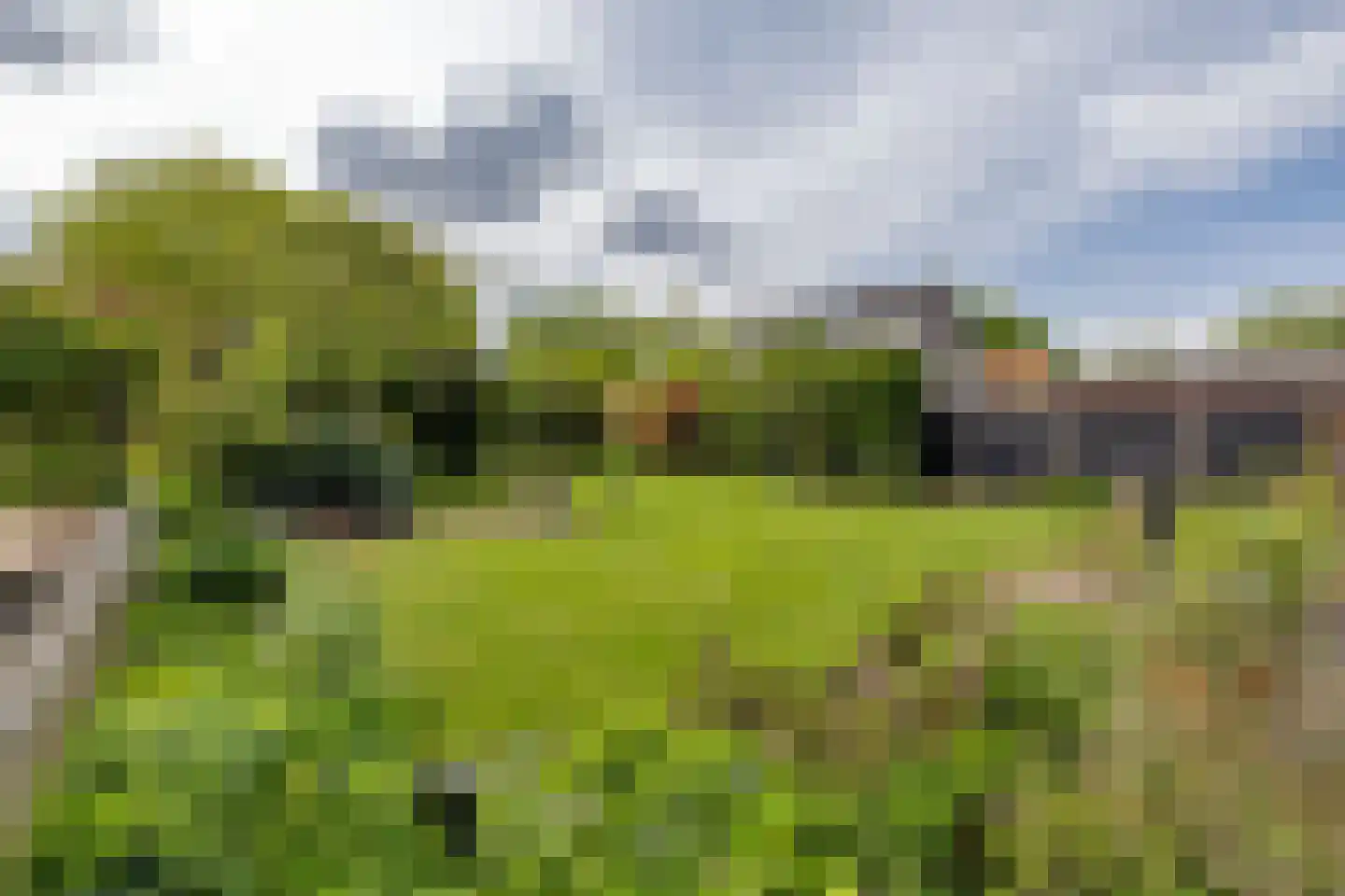 Korteweg 21 Rockanje thumbnail 30