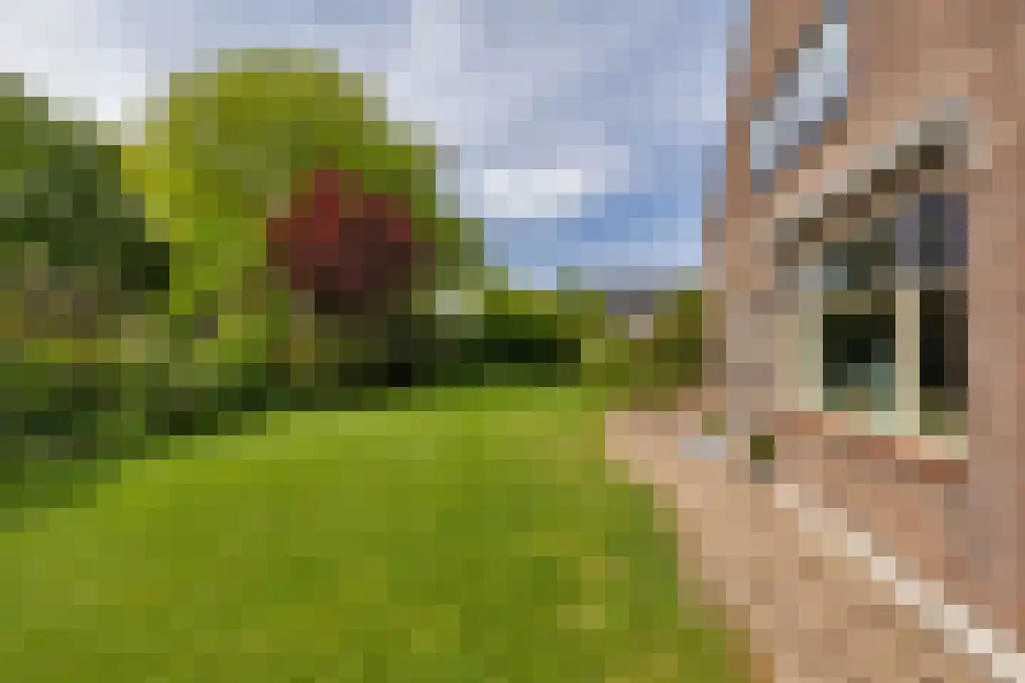 Korteweg 21 Rockanje thumbnail 36