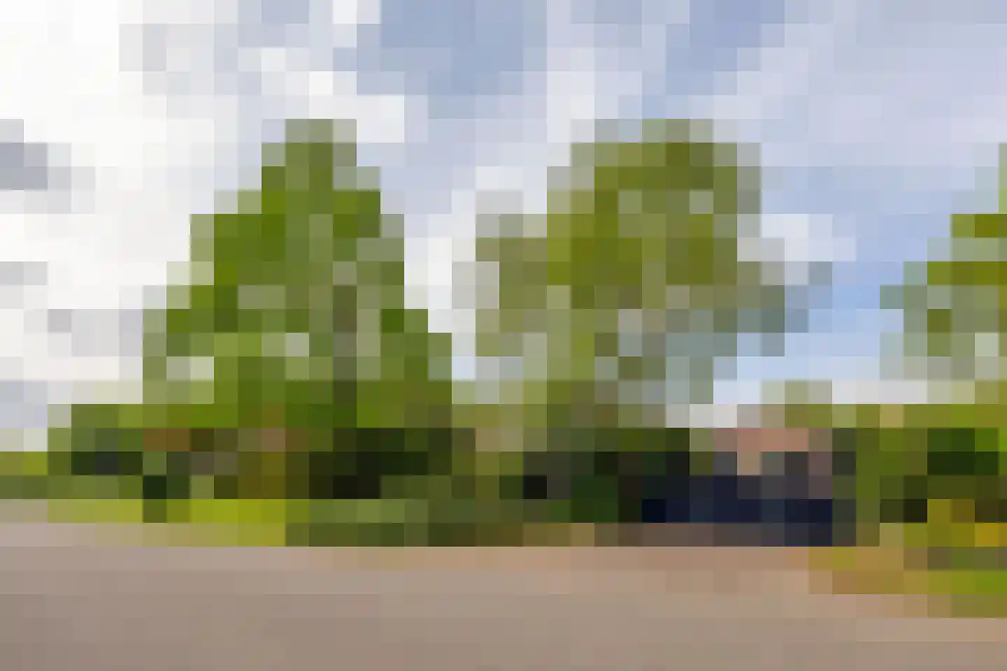 Korteweg 21 Rockanje thumbnail 40