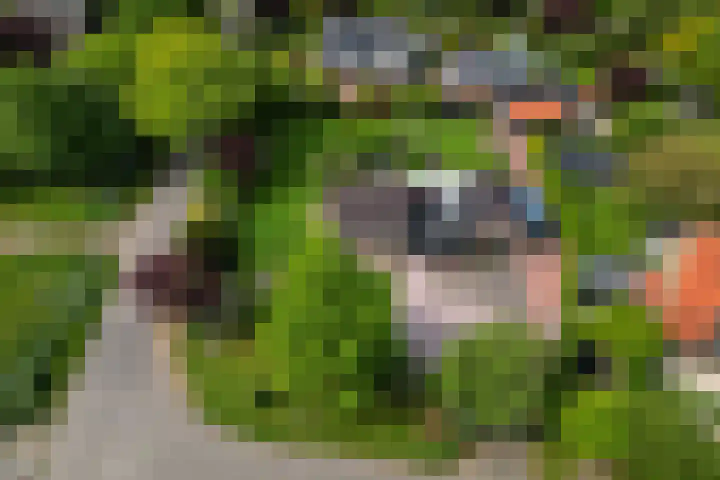 Korteweg 21 Rockanje thumbnail 41