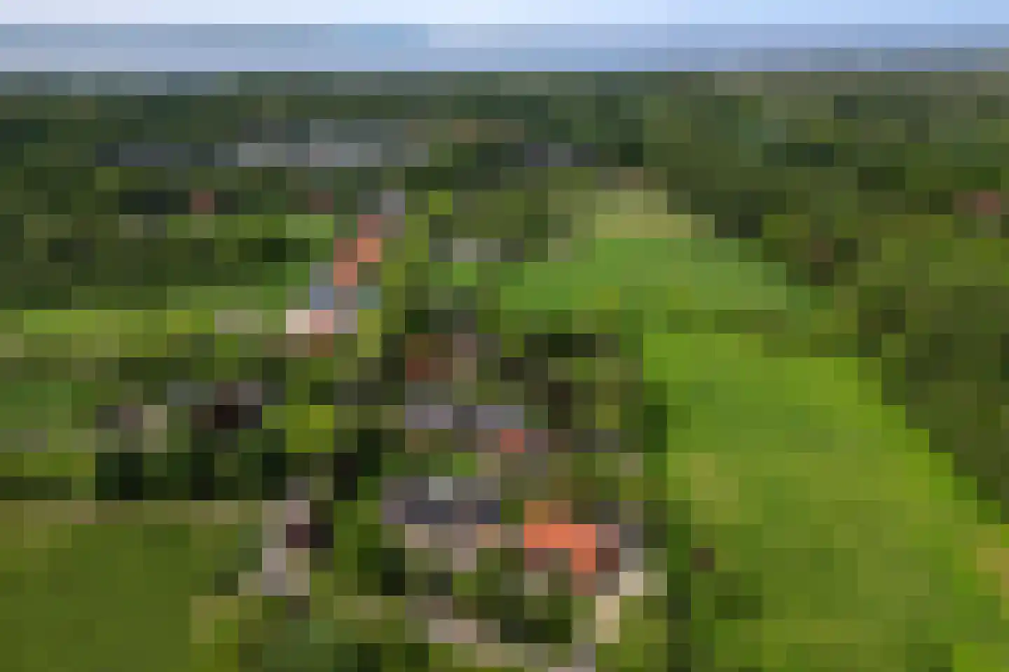 Korteweg 21 Rockanje thumbnail 43