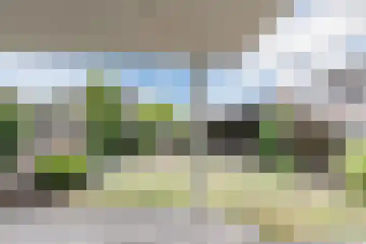 Korteweg 21 Someren thumbnail 5