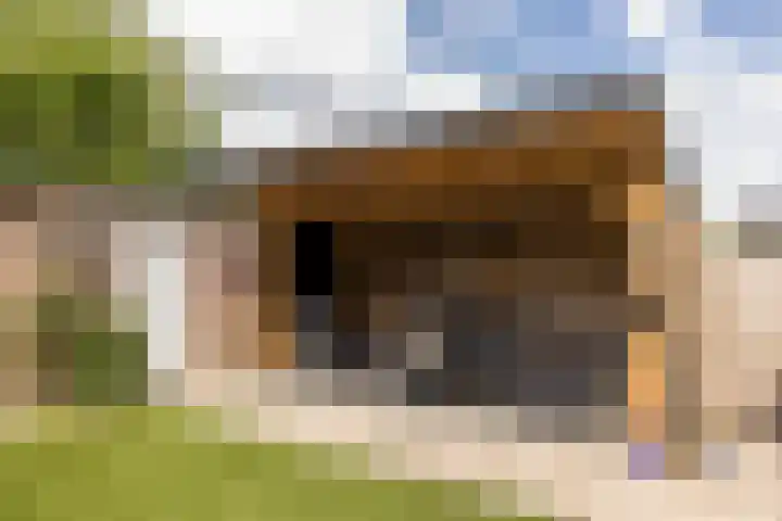 Korteweg 22 Hoensbroek thumbnail 26