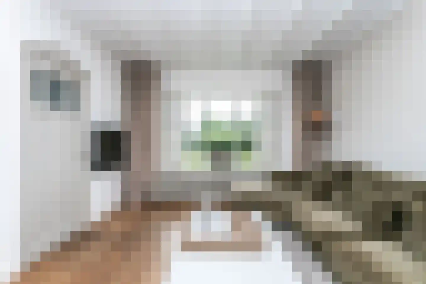 Korteweg 4 Hoensbroek thumbnail 10