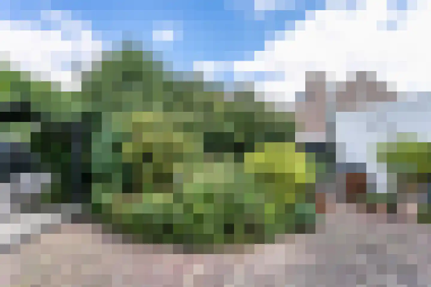 Korteweg 4 Hoensbroek thumbnail 50