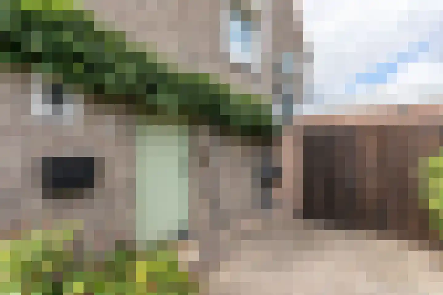 Korteweg 4 Hoensbroek thumbnail 6