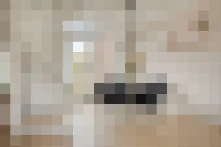 Korteweg 6 Nieuw- en Sint Joosland thumbnail 12