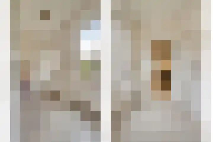Korteweg 6 Nieuw- en Sint Joosland thumbnail 21