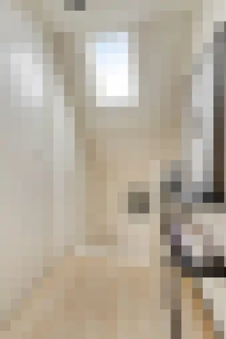 Korteweg 6 Nieuw- en Sint Joosland thumbnail 30