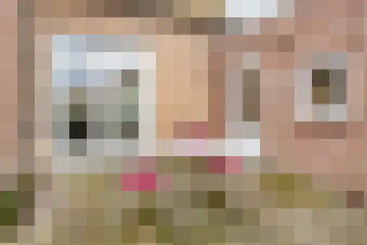Korteweg 6 Nieuw- en Sint Joosland thumbnail 41