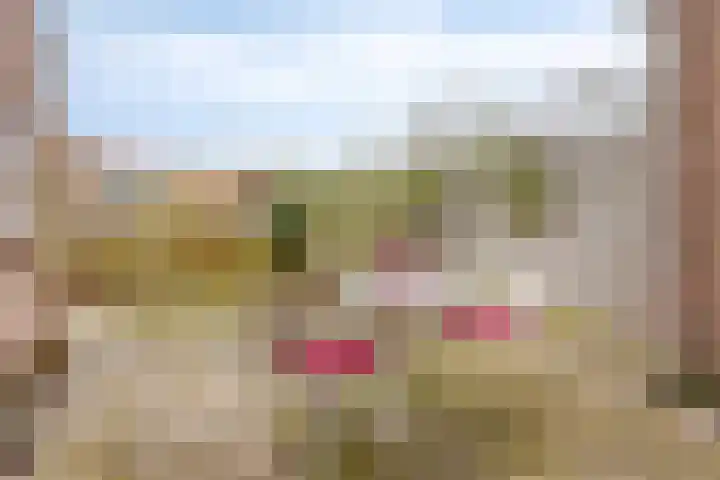 Korteweg 6 Nieuw- en Sint Joosland thumbnail 42
