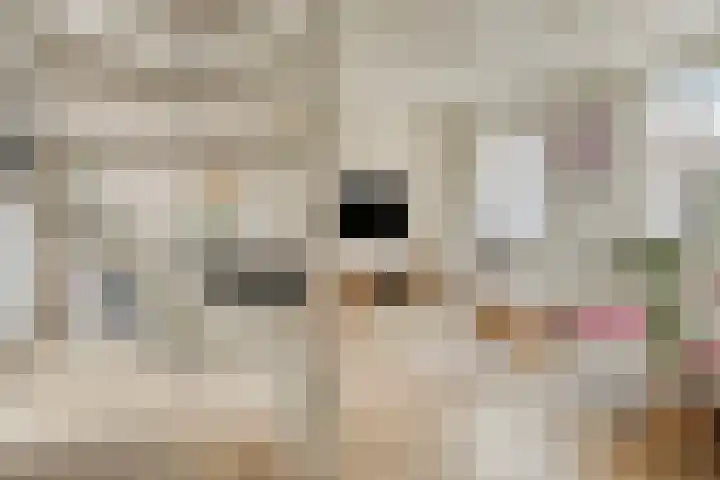 Korteweg 6 Nieuw- en Sint Joosland thumbnail 7