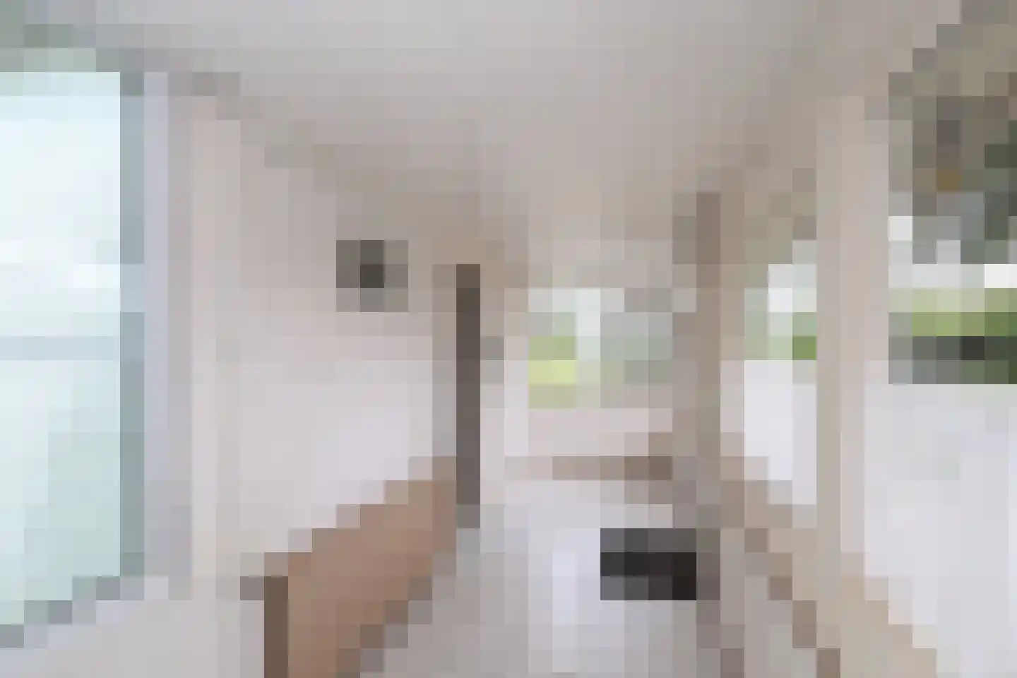 Korteweg 7 Tinte thumbnail 17