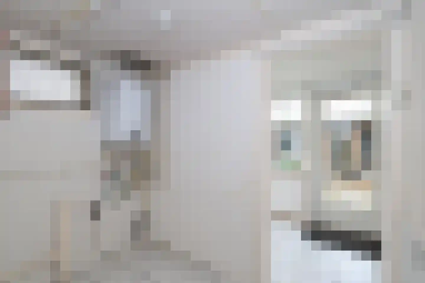 Korteweg 7 Tinte thumbnail 18