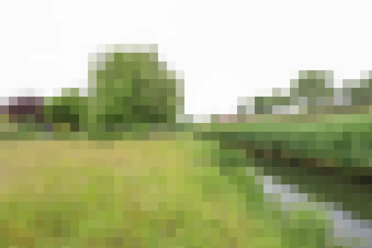 Korteweg 7 Tinte thumbnail 4