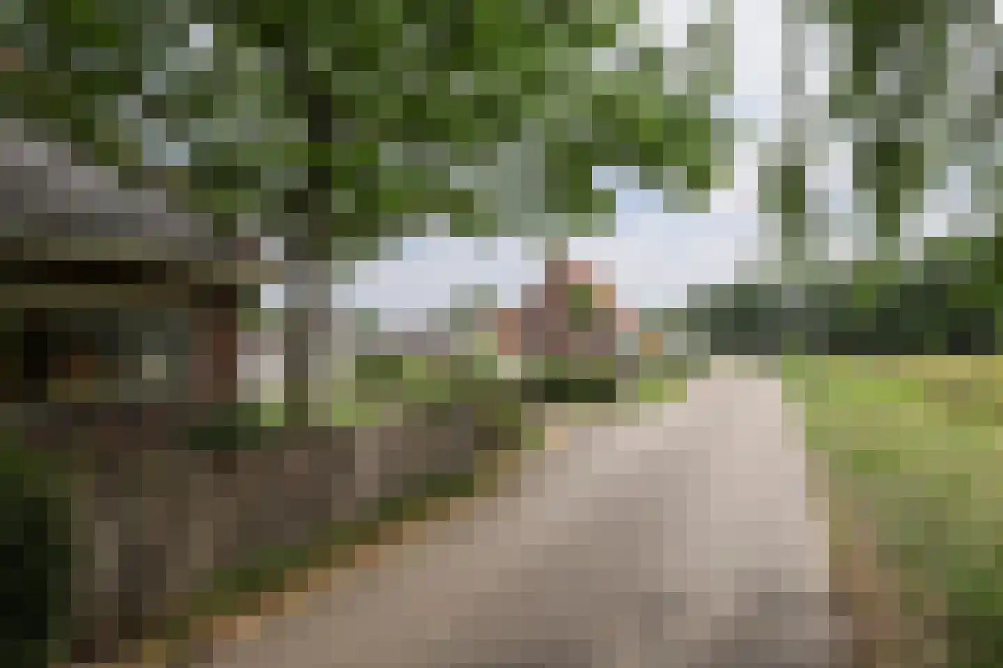 Korteweg 7 Tinte thumbnail 6