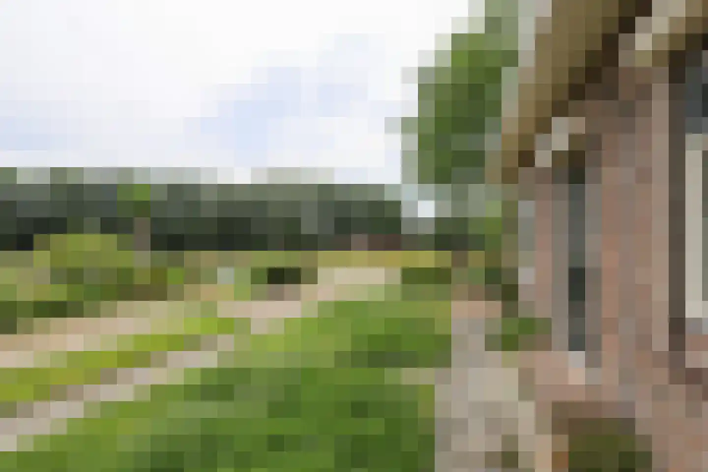 Korteweg 7 Tinte thumbnail 9