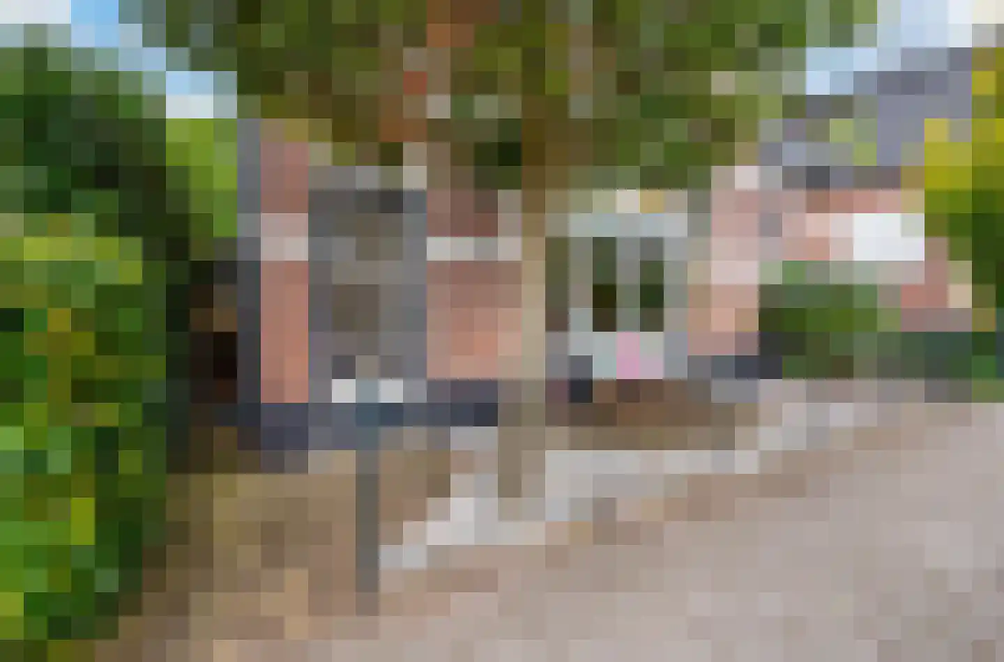 Korteweg 9 Apeldoorn thumbnail 4