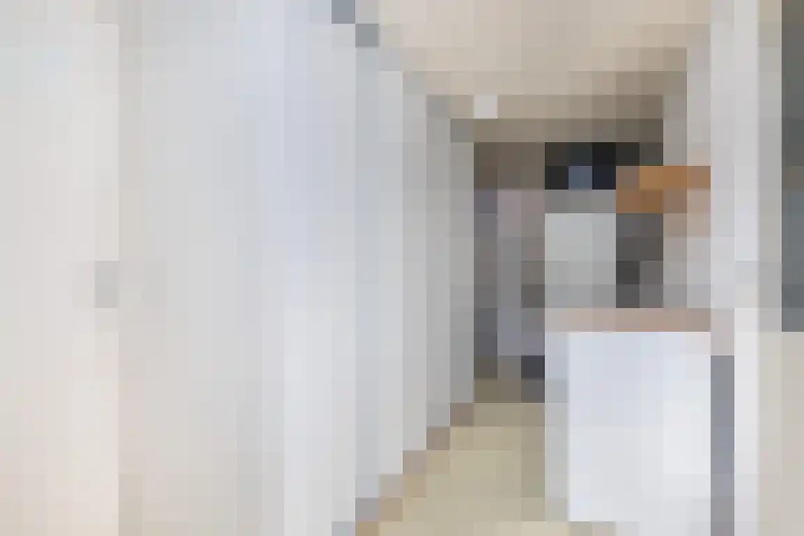 Kortewegje 40 Sommelsdijk thumbnail 12