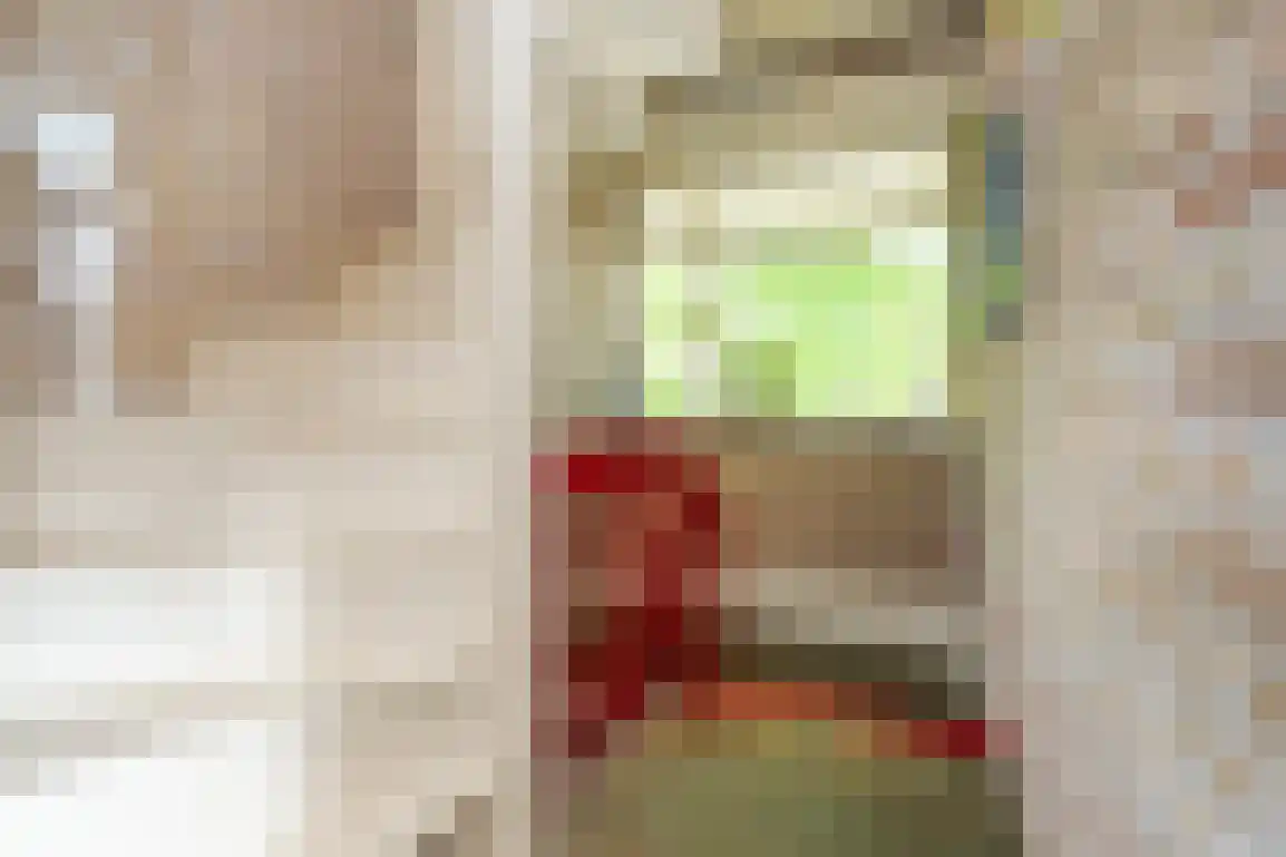 Kortewegje 40 Sommelsdijk thumbnail 14