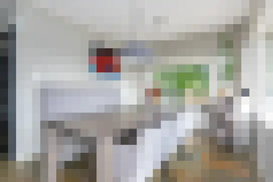 Kortewegje 40 Sommelsdijk thumbnail 18