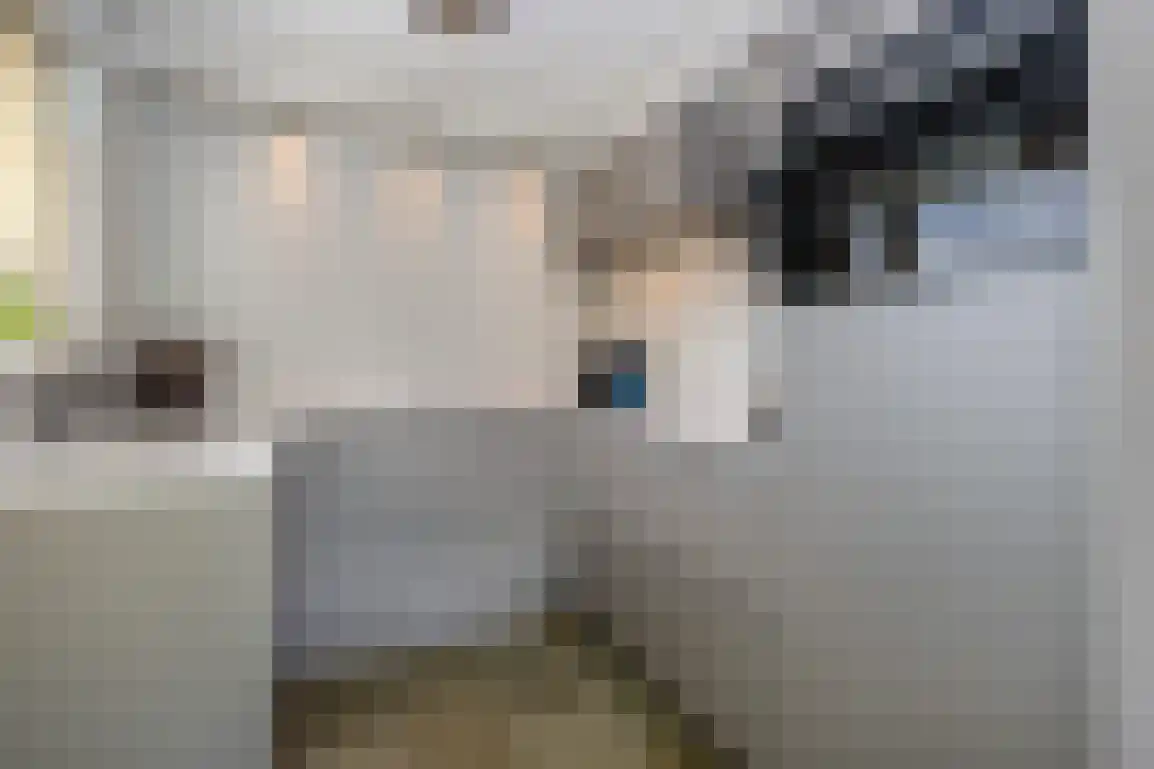 Kortewegje 40 Sommelsdijk thumbnail 19