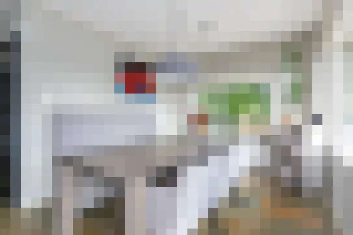 Kortewegje 40 Sommelsdijk thumbnail 20