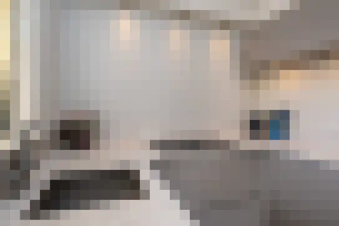 Kortewegje 40 Sommelsdijk thumbnail 21