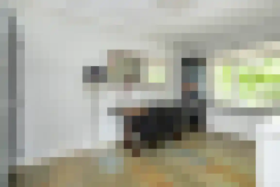 Kortewegje 40 Sommelsdijk thumbnail 22