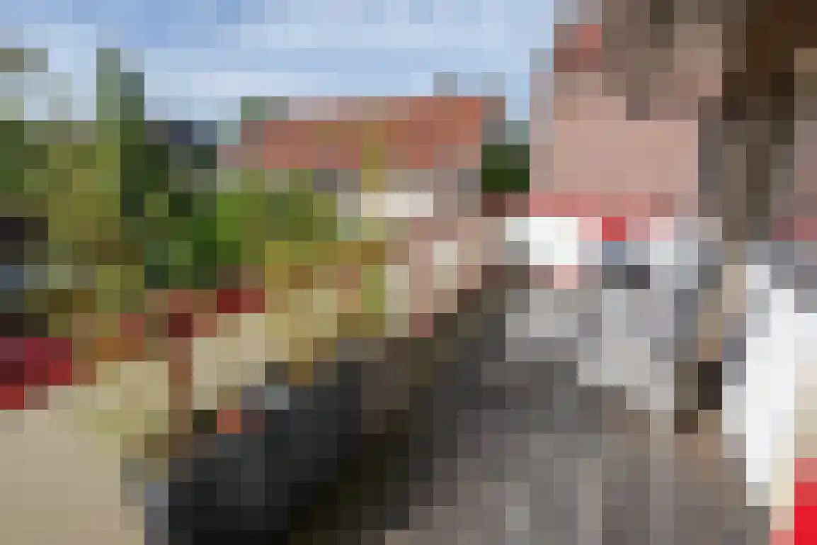 Kortewegje 40 Sommelsdijk thumbnail 26