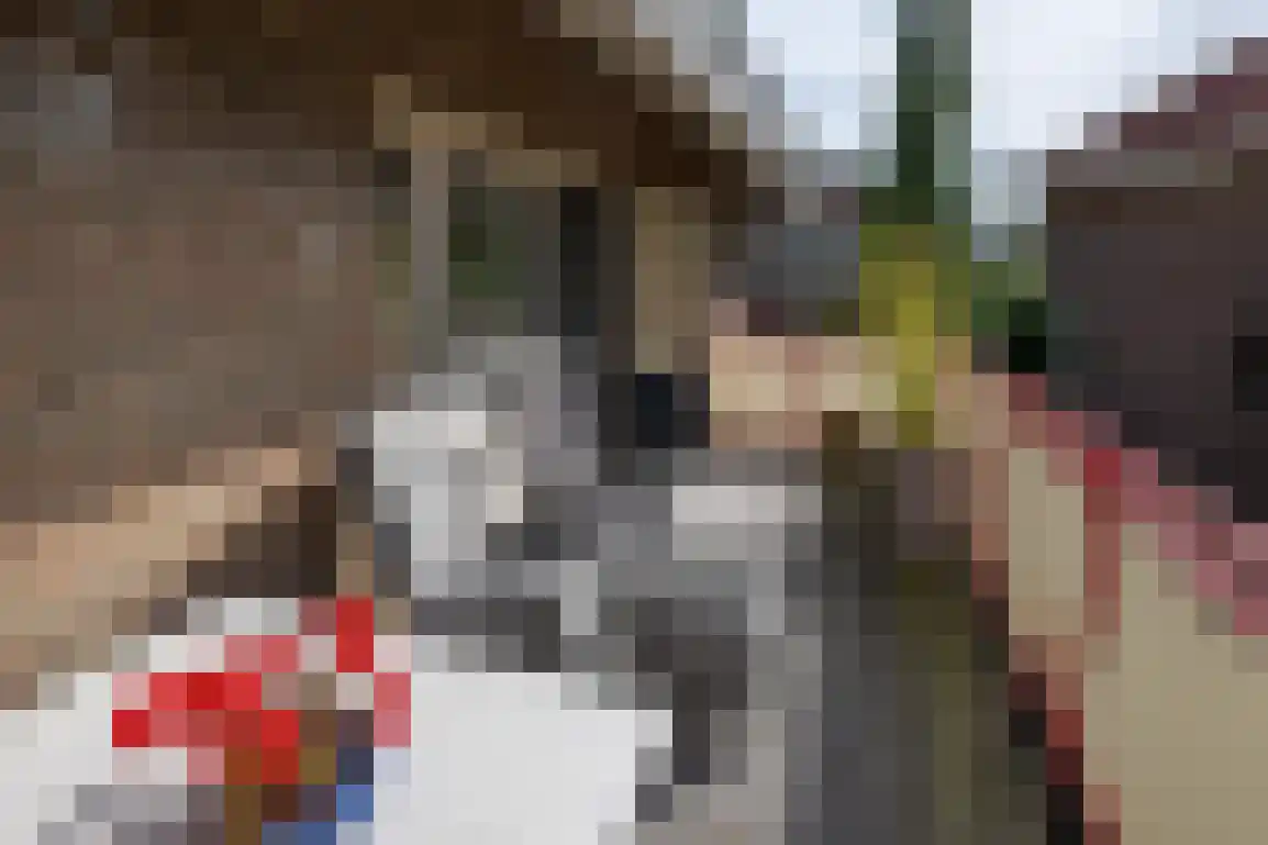 Kortewegje 40 Sommelsdijk thumbnail 27