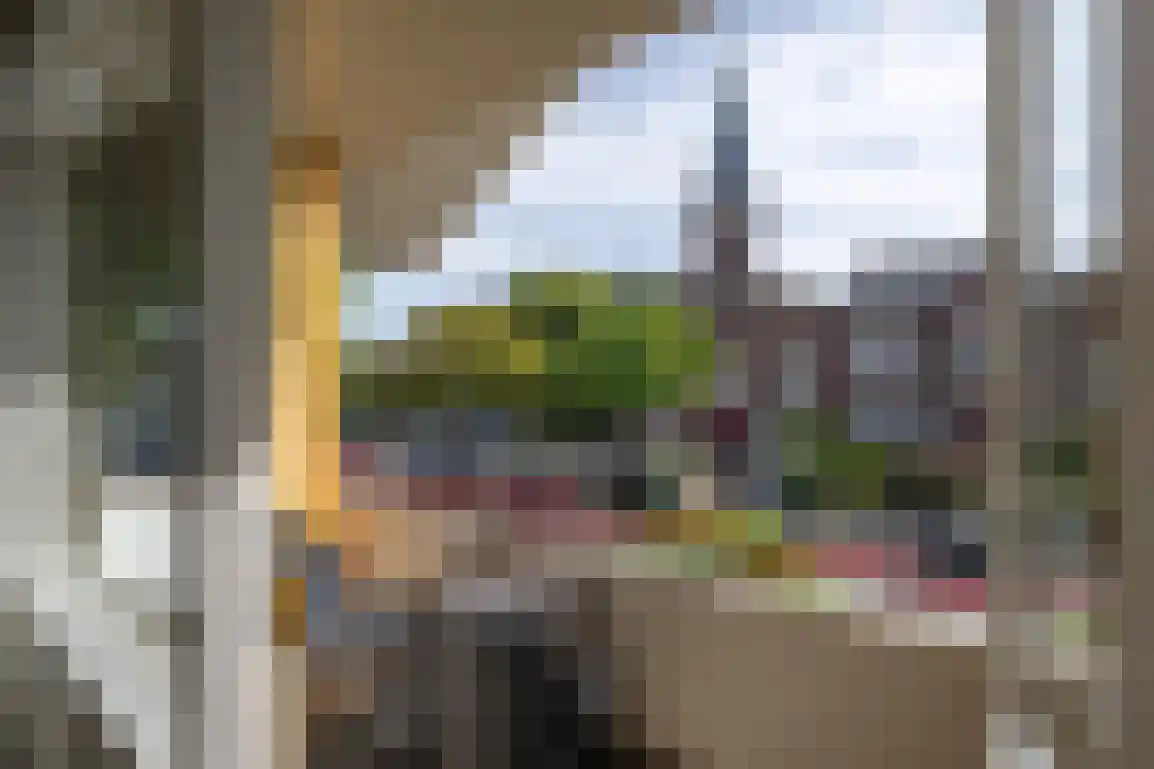 Kortewegje 40 Sommelsdijk thumbnail 29