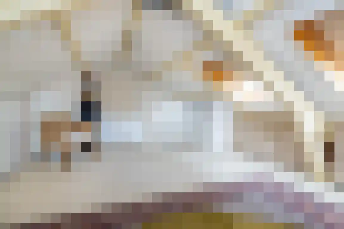 Kortewegje 40 Sommelsdijk thumbnail 31